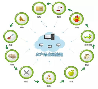 有机产品质量追溯解决方案