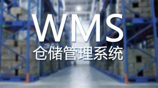 WMS在现代仓库管理中的作用