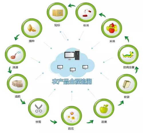有机产品质量追溯解决方案